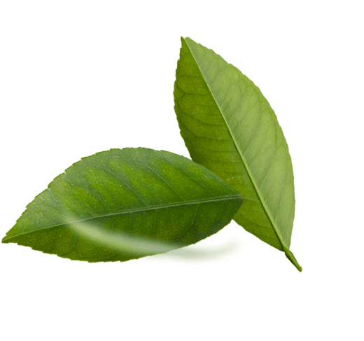 Gartenpflege Dekoelement