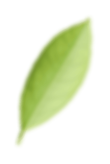 Landschaftsbau Illustration